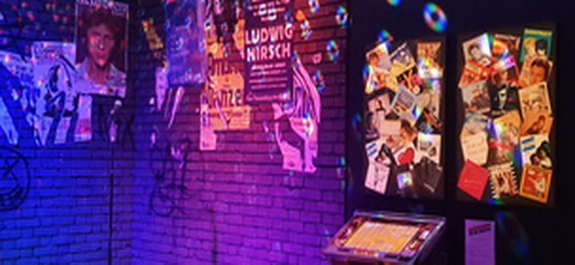 Georg Danzer und Karaokebar