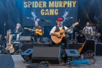 Konzert Spider Murphy Gang Calw 2023